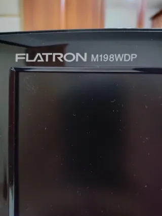 LG Flatron M1919S-PF TV Monitor