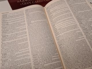 Il dizionario della lingua italiana