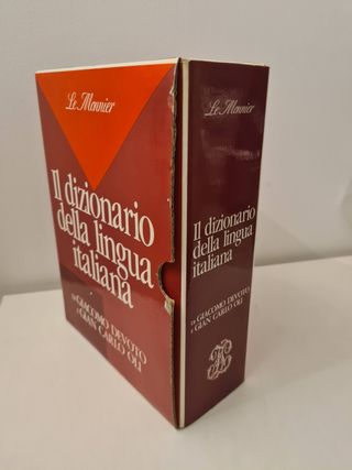 Il dizionario della lingua italiana
