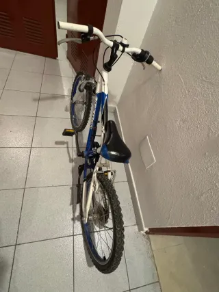 Bicicleta Infantil 20 Pulgadas