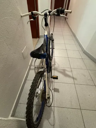 Bicicleta Infantil 20 Pulgadas