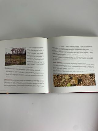 quattro titoli come da fotografie