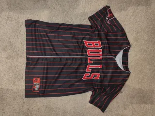 Camiseta Chicago Bulls Rayas Rojas