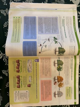 BIOLOGIA, GEOLOGIA Y CIENCIAS AMBIENTALES 1 BTO...