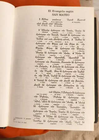 Nuevo Testamento interlineal griego-español
