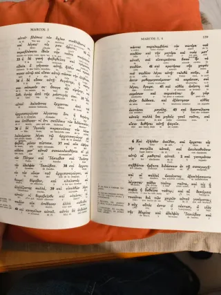 Nuevo Testamento interlineal griego-español