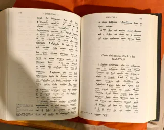 Nuevo Testamento interlineal griego-español