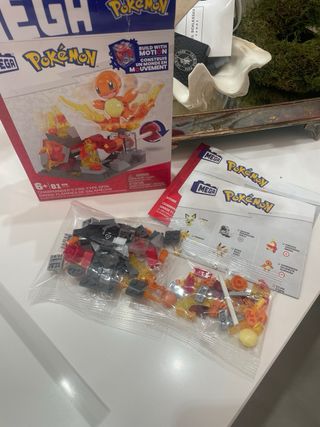 MEGA Pokémon Charmander's Fire-Type Spin