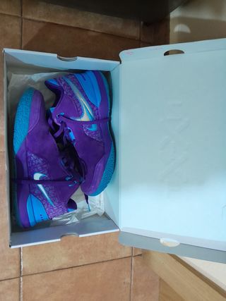Nike Lebron NXXT GEN Morado/Azul