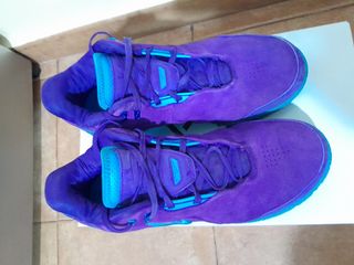Nike Lebron NXXT GEN Morado/Azul