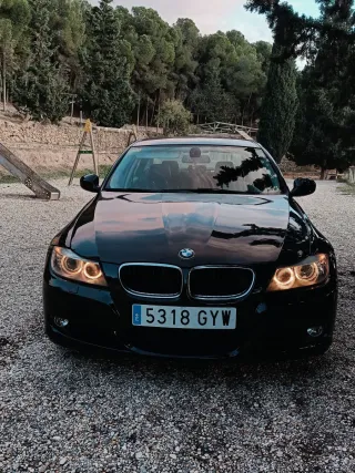 BMW Serie 3 2010