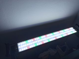 Acuario 100L con mueble y accesorios