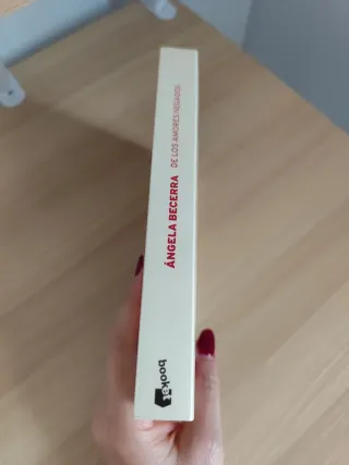 Libro De los amores negados