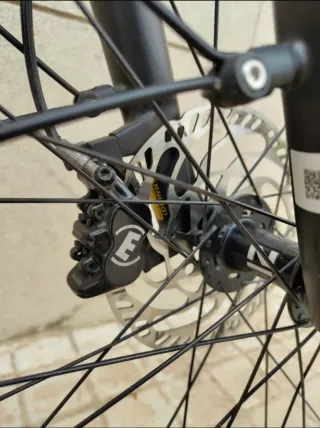 Bicicleta Eléctrica Riese & Müller 350W bosch