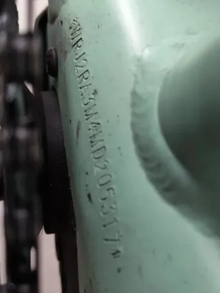 Bicicleta Eléctrica Riese & Müller 350W bosch