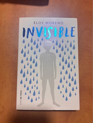 Invisible / Invisible (Spanish Edition)