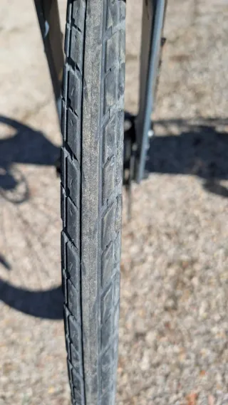 Bicicleta Eléctrica Argento Alpha