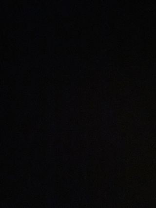 Clases de repaso, canguro y paseador de perros