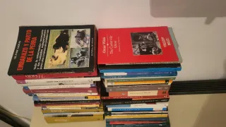 Libros de todo tipo, novelas