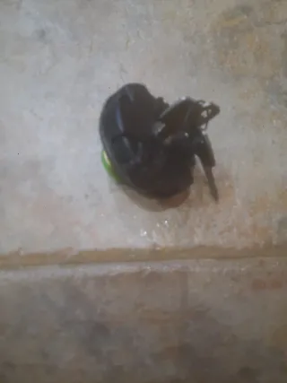 Tapón depósito con llave Seat 127