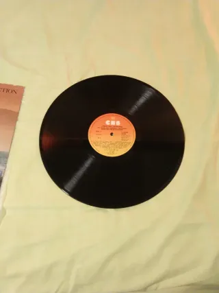 Collezione Vinili Simon & Garfunkel