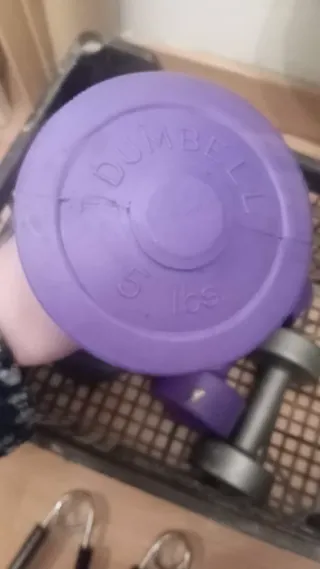 Lote gimnasio: pesas, comba, abdominales