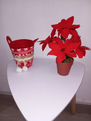 Flor de Pascua con Macetero Navideño