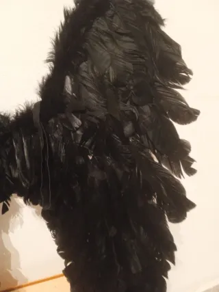 Disfraz alas de angel negras 56x50cm