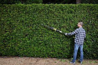 Cortasetos con Pértiga Sin Cable 18V One+