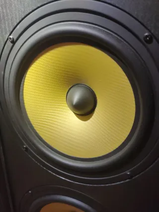 Altavoces de suelo negros