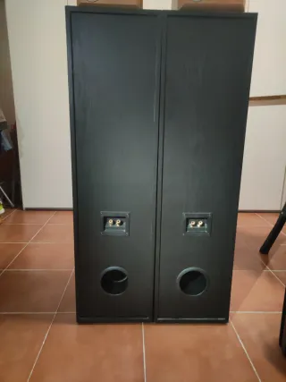 Altavoces de suelo negros