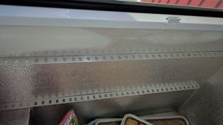 escaparate del congelador