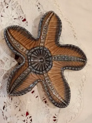 estrellita de mar wade