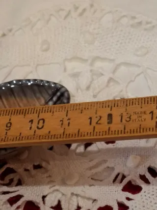 estrellita de mar wade