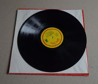 FLAMIN' GROOVIES "THIS IS FLAMIN' GROOVIES" (LP)