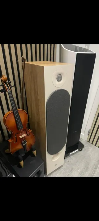 Altavoces Focal Hifi Beige/Marrón