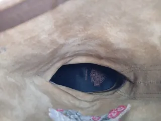 Stivali Harley Davidson Donna Rose Marroni