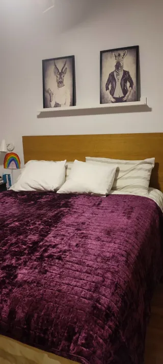 Colcha terciopelo morado 1,80