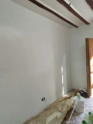 Albañilería y pintura i.p.s