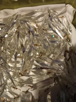 Cristales Swarovski para lámparas.