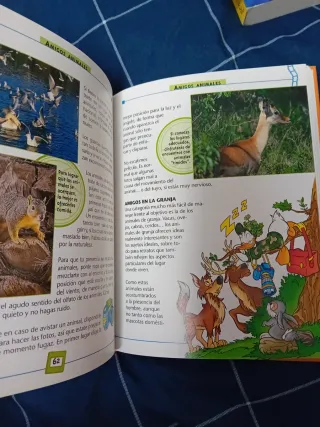 Manual de fotografía (Manuales Disney) (Spanish...