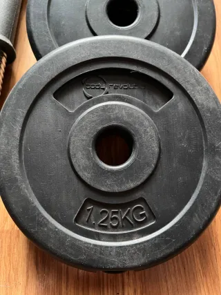 Discos de pesa 1.25kg x4