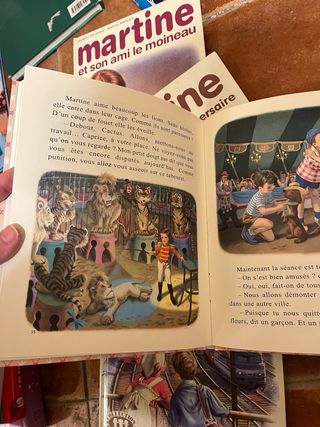 5 libros de Martíne