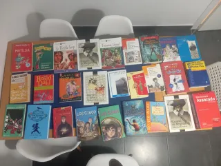 Lote de varios libros juveniles