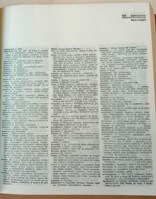 Diccionario italiano - español