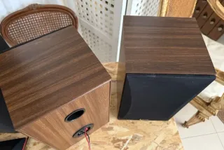 Altavoces  INFINITY Polycell High Output Madera.