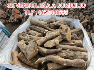 LEÑA  ALMENDRO, OLIVO Y PINO