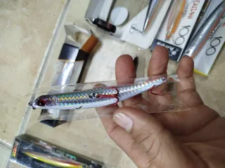 Señuelos de pesca paseantes