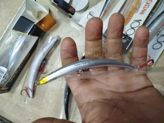 Señuelos de pesca paseantes