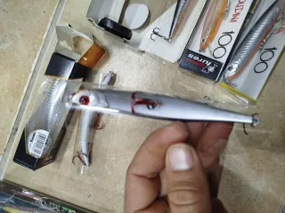 Señuelos de pesca paseantes